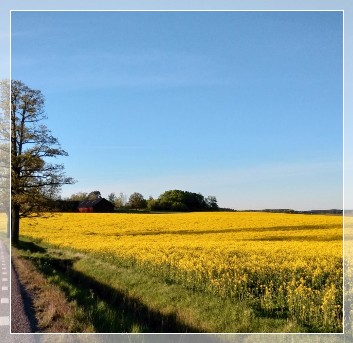 Swedens' country side, red house
