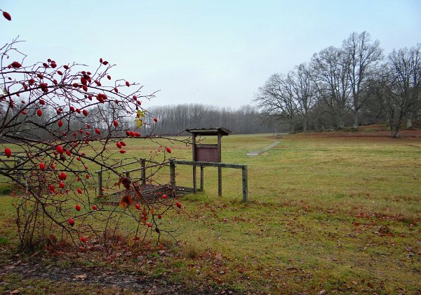 Labro Ängar Naturreservat