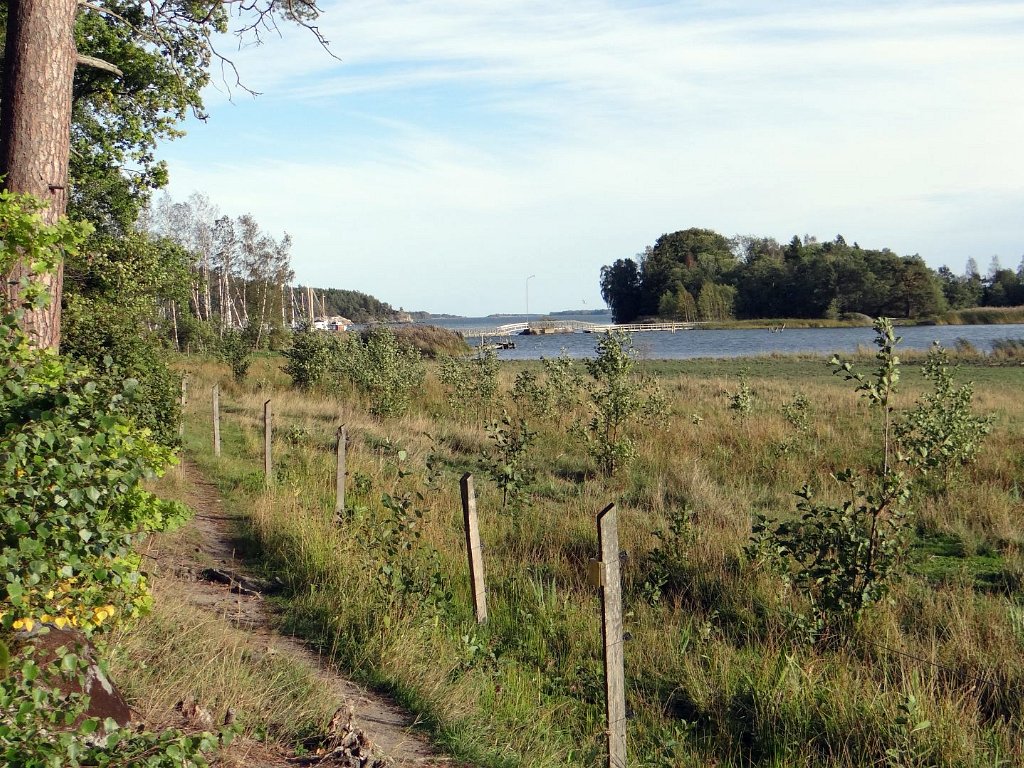 Nävekvarns Klint Nature Reserve
