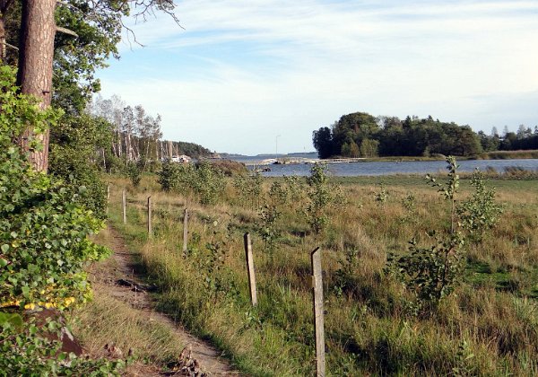 Rundwanderung ab Nävekvarn