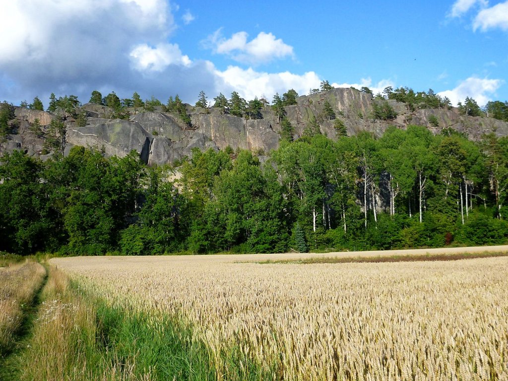 Simonberget Nature Reserve and Koppartorp
