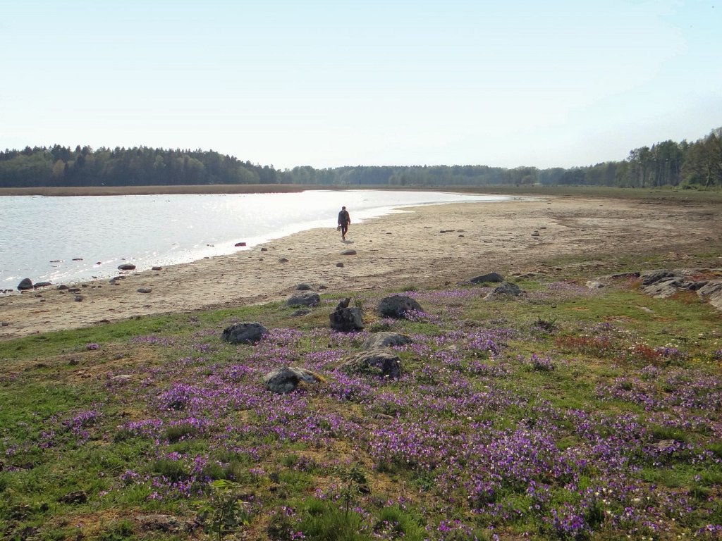 Strandstuviken Nature Reserve