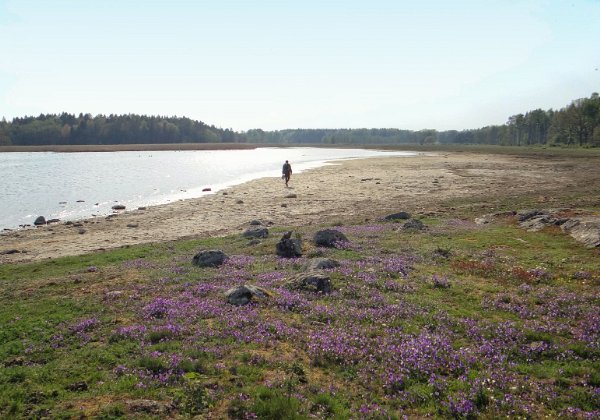 Strandstuviken Naturreservat