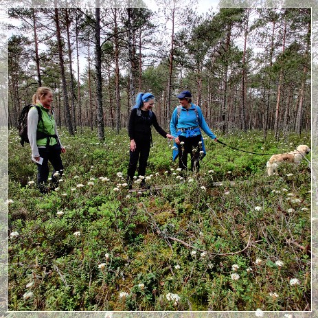 Guide Stefanie with guests in Nävsjömossens Naturreservat