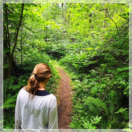 Forest bathing with SwedenExperienceTours 